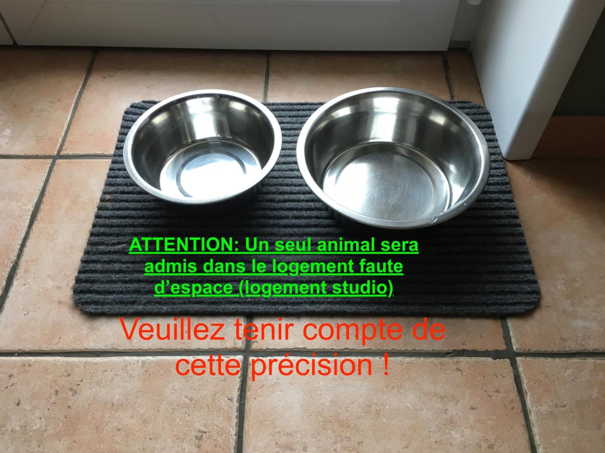 Studio "Cote Mer" La Naturelle - Wimereux Exterior photo